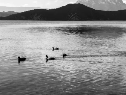 Kazino Midas Mobilioji programa